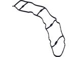 Guarnizione Del Collettore Di Aspirazione Vw Transporter 2.0Tdi 15-
