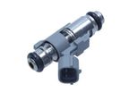 Iniettore Benzina Citroen C3 1,4 16V 06-