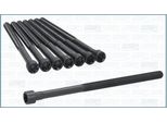 Ajusa 81064700 Set Di Bulloni Per Testa Del Cilindro Per Bmw 1 Hatchback (F20) M11