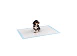 Assorbenti Per Cuccioli Lionto, Assorbenti Igienici Per L'addestramento Con Protezione Dalle Perdite E Controllo Degli Odori, 60X90 Cm, 50 Pezzi