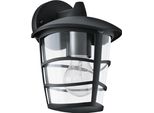 Eglo 93098 Lampada Da Parete Per Esterni Aguanish Nero, Trasparente IP44