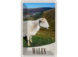 Vianmo Insegna Di Latta 30X20 Cm Wales United Kingdom Schaf Wiese Natur