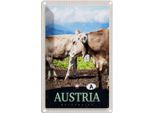 Vianmo Insegna Di Latta 18X12 Cm ÖSterreich Tiere Weide