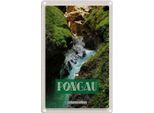 Vianmo Insegna Di Latta 30X20 Cm Pongau ÖSterreich Wasserfall Natur