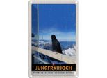 Vianmo Insegna Di Latta 30X20 Cm Jungfraujoch Schweiz Rabe Winter Natur