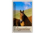 Vianmo Insegna Di Latta 18X12 Cm Argentinien Wiese Pferde