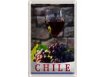 Vianmo Insegna Di Latta 30X20 Cm Chile Wein Trauben Tradion