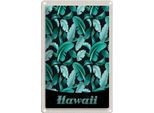 Vianmo Insegna Di Latta 30X20 Cm Hawai Insel Strand BläTter Blau