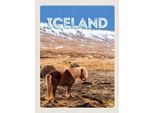 Vianmo Insegna In Legno 30X20 Cm Iceland Pony Icelandic Horse