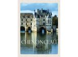 Vianmo Insegna In Legno 30X20 Cm Retro Chenonceau France Schloss