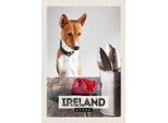 Vianmo Insegna In Legno 30X20 Cm Irland Europa Steak Hund Insel