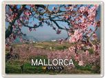 Vianmo Insegna Di Latta 30X40 Cm Mallorca Spanien MandelblüTen