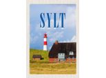 Vianmo Insegna In Legno 30X20 Cm Sylt HäUser Dach Aus Moos Leuchtturm