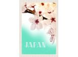 Vianmo Insegna In Legno 30X20 Cm Japan Asien Blume Weiß Rosa Natur
