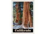 Vianmo Insegna In Legno 30X20 Cm California Amerika Natur Wald BäUme
