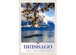 Vianmo Insegna In Legno 30X20 Cm Brissago Schweiz Natur Wald