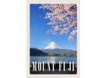 Vianmo Insegna In Legno 30X20 Cm Mont Fuji Japan Asien Meer Natur