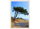 Vianmo Insegna In Legno 30X20 Cm Hiddensee Leuchtturm Baum Weide Wiese