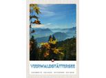 Vianmo Insegna In Legno 30X20 Cm VierwaldstäTtersee Wanderung Natur