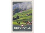 Vianmo Insegna In Legno 30X20 Cm Brixental Natur Wiese WäLder