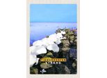 Vianmo Insegna In Legno 30X20 Cm Timmendorfer Strand Steine Schnee Meer