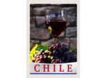 Vianmo Insegna In Legno 30X20 Cm Chile Wein Trauben Tradion