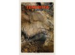 Vianmo Insegna In Legno 18X12 Cm Teneriffa Spanien Cueva Del Viento HöHle