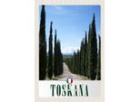 Vianmo Insegna In Legno 30X20 Cm Toskana Italien BäUme Wiese Natur