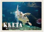 Vianmo Insegna In Legno 30X40 Cm Kreta Griechenland Cretaaquarium