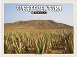 Vianmo Insegna In Legno 30X40 Cm Fuerteventura Spanien Aloe Vera Plantage