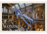 Vianmo Insegna In Legno 20X30 Cm London Natural History Museum
