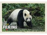 Vianmo Insegna In Legno 12X18 Cm Peking China Panda Haus