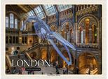 Vianmo Insegna In Legno 30X40 Cm London Natural History Museum