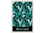 Vianmo Insegna In Legno 30X20 Cm Hawai Insel Strand BläTter Blau