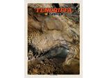 Vianmo Insegna In Legno 40X30 Cm Teneriffa Spanien Cueva Del Viento HöHle