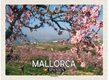 Vianmo Insegna In Legno 30X40 Cm Mallorca Spanien MandelblüTen