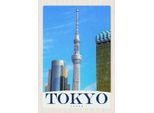 Vianmo Insegna In Legno 30X20 Cm Tokyo Stadt Hochhaus Asien