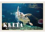 Vianmo Insegna In Legno 20X30 Cm Kreta Griechenland Cretaaquarium