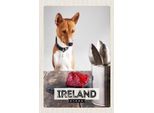 Vianmo Insegna In Legno 18X12 Cm Irland Europa Steak Hund Insel