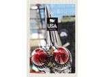 Vianmo Insegna In Legno 18X12 Cm Amerika Oldtimer 90Er Silber Pkw