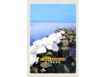 Vianmo Insegna In Legno 18X12 Cm Timmendorfer Strand Steine Schnee