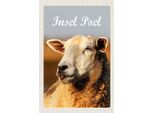 Vianmo Insegna In Legno 18X12 Cm Insel Poel Schaf Weide