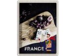 Vianmo Insegna Di Latta 40X30 Cm Frankreich Trauben Feigen SchimmelkäSe
