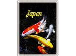 Vianmo Insegna Di Latta 40X30 Cm Japan Asien Koi Fische Rot Gold Weiß