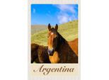 Vianmo Insegna In Legno 18X12 Cm Argentinien Wiese Pferde