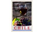 Vianmo Insegna In Legno 18X12 Cm Chile Wein Trauben Tradition