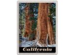 Vianmo Insegna Di Latta 40X30 Cm California Amerika Natur Wald BäUme