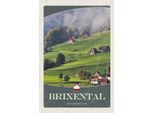 Vianmo Insegna In Legno 18X12 Cm Brixental Naturwiese WäLder