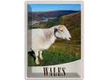Vianmo Insegna Di Latta 40X30 Cm Wales United Kingdom Schaf Wiese Natur