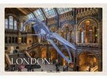 Vianmo Insegna In Legno 12X18 Cm London Natural History Museum